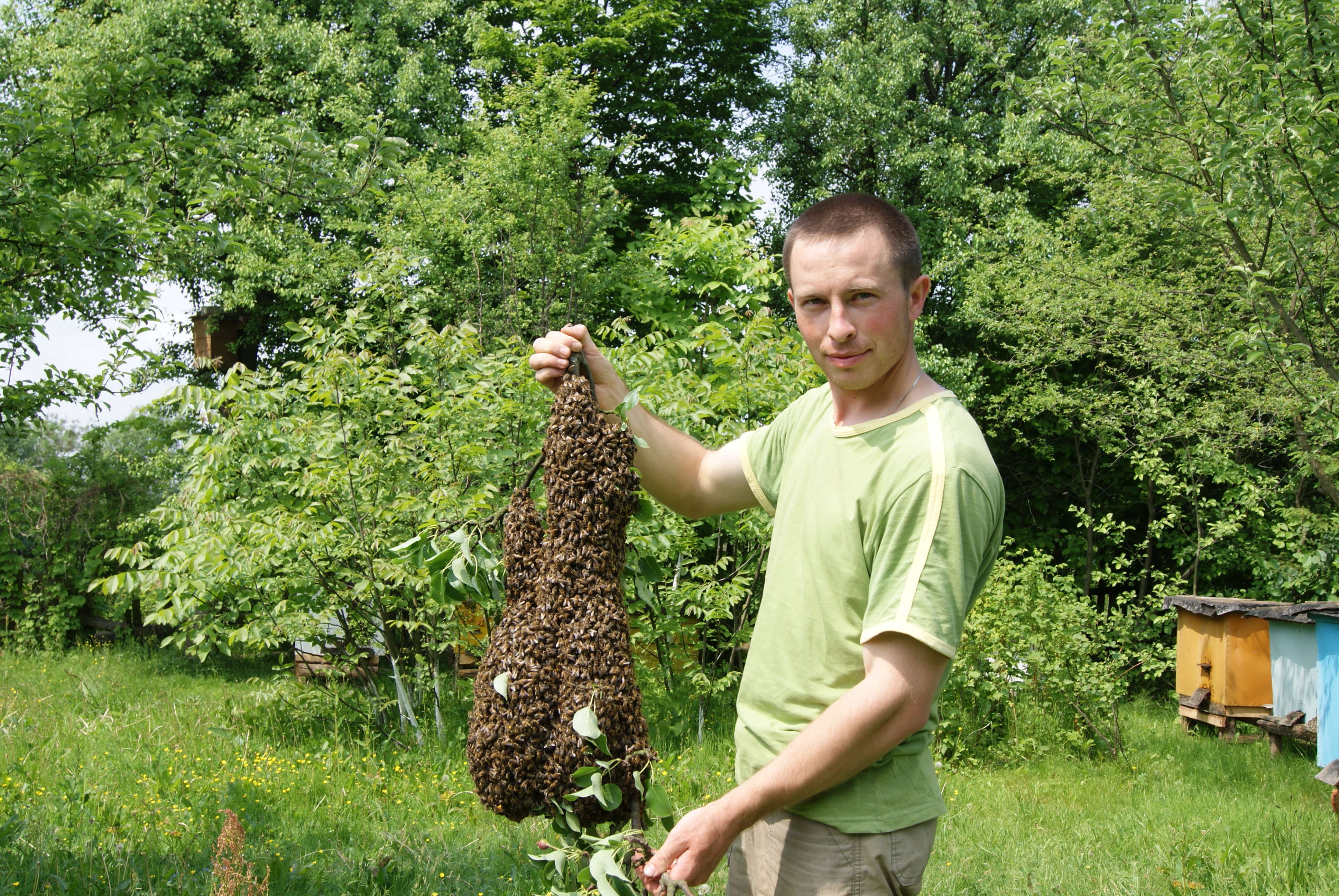 kopotun trzymajacy pszczoly pasieka ule
