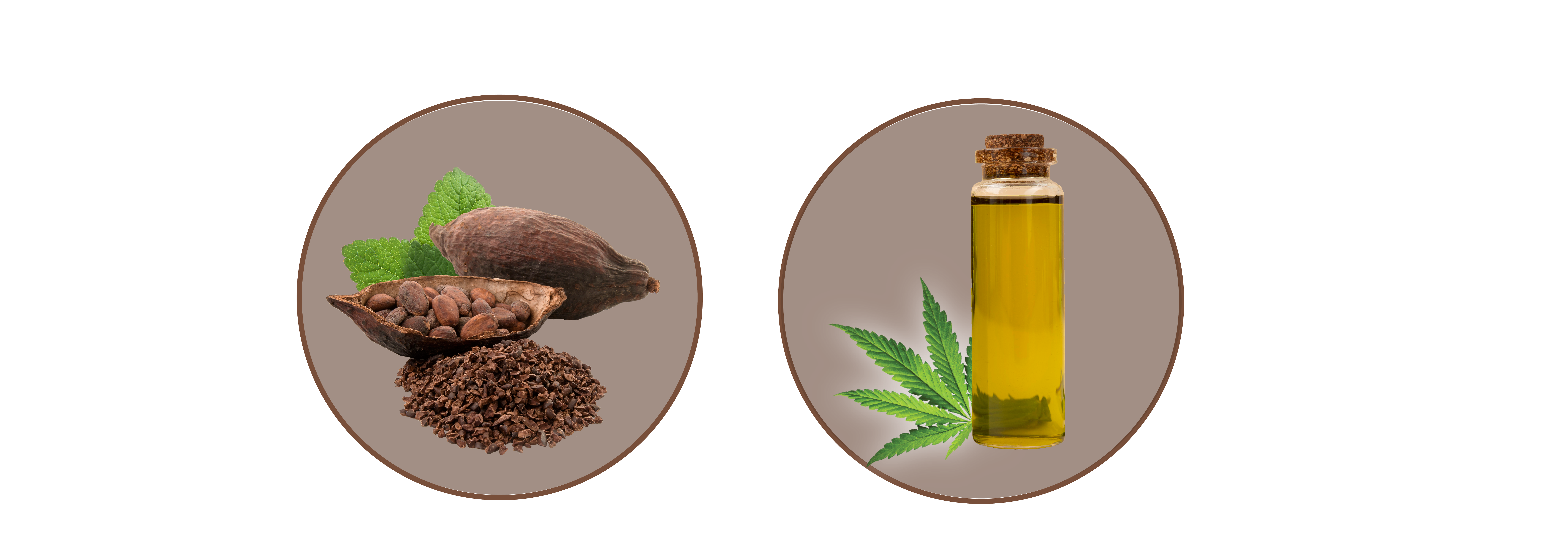 Cocoa & Hemp Oil